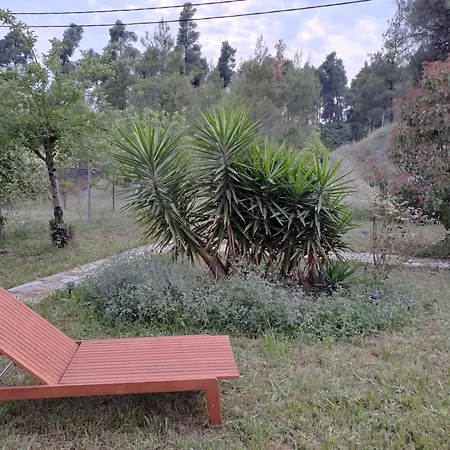 Relaxing Vacations